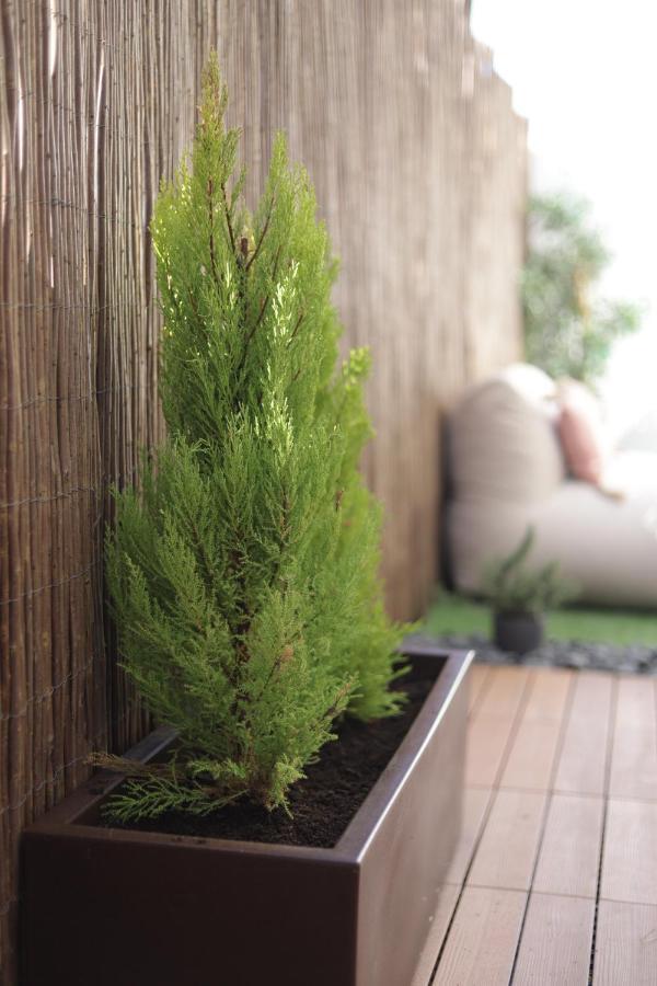 Peniche Supertubos Terrace 아파트 외부 사진